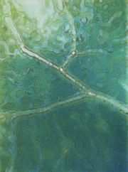 wetland-leaf-final-state-72dpi