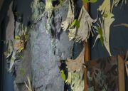 Ferara_InvasionRecombinantdetail