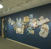 Ferara_InvasionRecombinantinstallview-copy