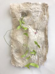 Ferara_alongthewallintertwine2