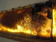 922719_10151581770923340_1395305640_n