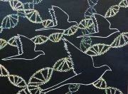 aviary_1408395625171