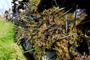 environmental_protection_small