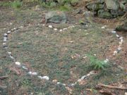 Vine and Stone Heart