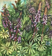 Helen_Klebesadel_ButterflyEffect_72