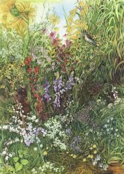 Klebesadel_Helen_DisappearingPrairie-I72