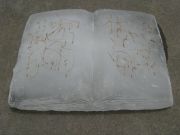 7-mountain-mahogany2