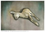 001venado