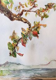 1_Brasil-Uba-Tuba-Beach