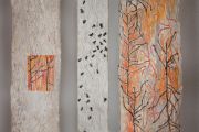 xylem-phloem-detail