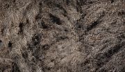 Turbulent-Margins_04