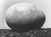 Bio.EggSculptureStraightOn300