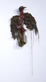 Julia-Feldman-Passenger-pigeon-Extinct Julia-Feldman-Passenger-pigeon-Extinct