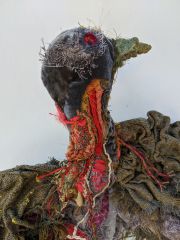 Julia-Feldman_detail-Passanger-Pigeon-head Julia-Feldman_detail-Passanger-Pigeon-head