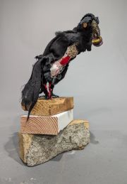 SebArts-Keeper_Julia_Feldman SebArts-Keeper_Julia_Feldman