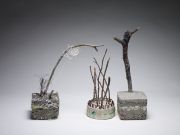 The-future-of-trees_City-Park