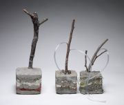 The-future-of-trees_searching-for-water The-future-of-trees_searching-for-water