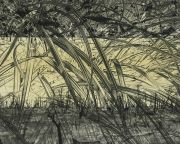 20160908_phonephotos_0659