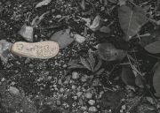 childs-shoe-sole-nature-reserve