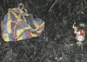 plastic-bag-bottle-orange-peel-in-bioreserve