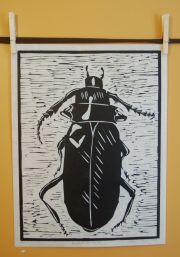 rootborer2