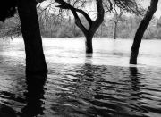 sant-khalsa-paving-paradise4