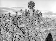 sant-khalsa-self-portrait-w-river-rock