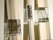 sant-khalsa-trees-seedlings-seen-scene