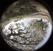 8-Koym_Gestures-Toward-Touch_Video-Projection