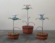 potted_plants