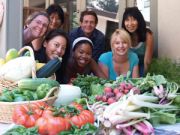 A great harvest!