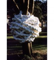 w210formsforlanguagelores89copy