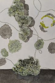 Lichen-One