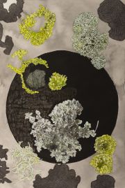 Lichen-Two