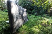 LDonkers_WILDGARDEN_2020