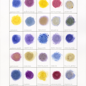 Hillsdale Sampler (Verbena - Angelonia)