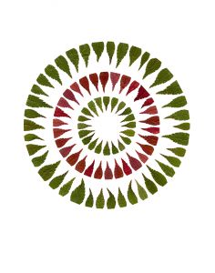 Circle In