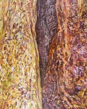 FarCorner_GrizzlyCreekRedwoods