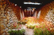 secret-garden-1999