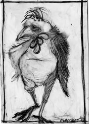 13-bird