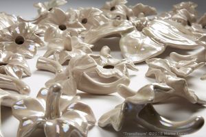ML_Transfleurs_installation