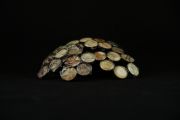 08_Abma_Lost-Canopy