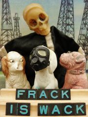 OLYMPUS DIGITAL CAMERA OLYMPUS DIGITAL CAMERA