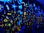 michele-guieu-plankton-santa-cruz-mah-01