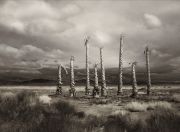 garth_m-a-death-in-the-desert-3