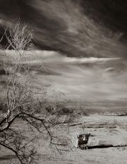 garth_m-a-death-in-the-desert-8