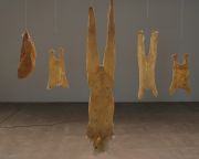 DSCF1162 copy copy copy