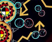 Autoimmunity