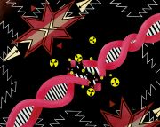 DNA-Damage