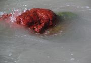 mutilated-human2